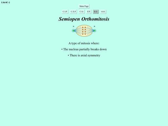 semiopen-orthomitosis screenshot