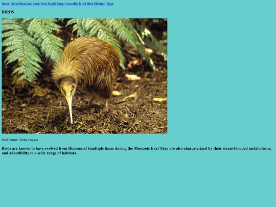 TheBird screenshot