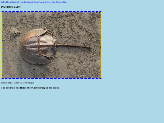 TheCrab screenshot