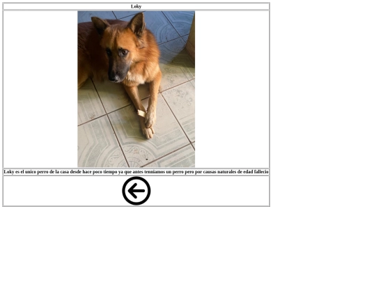 loky screenshot
