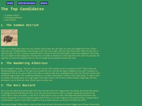 index-2 screenshot
