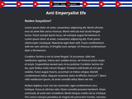 blogs/Sosyalizm screenshot