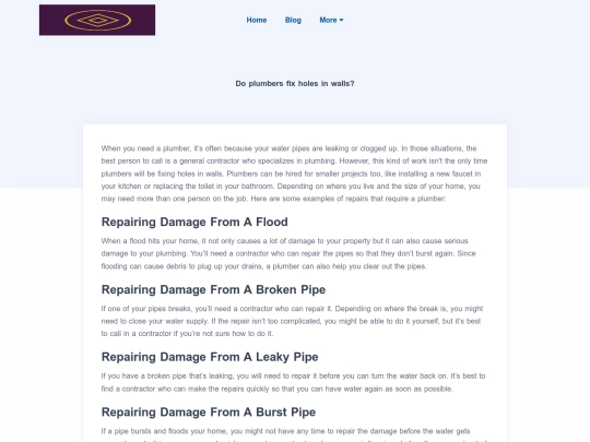 blog/do-plumbers-fix-holes-in-walls screenshot