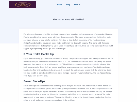 blog/what-can-go-wrong-with-plumbing screenshot