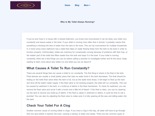 blog/why-is-my-toilet-always-running screenshot