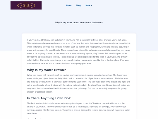 blog/why-is-my-water-brown-in-only-one-bathroom screenshot