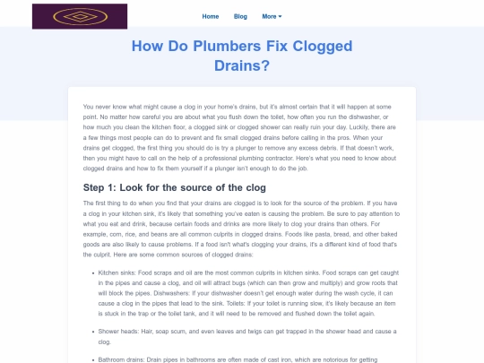 how-do-plumbers-fix-clogged-drains screenshot