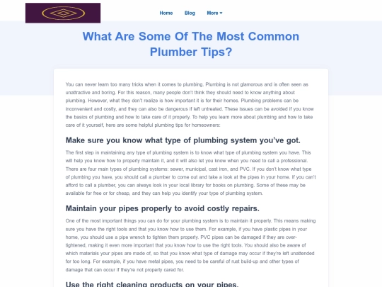 what-are-some-of-the-most-common-plumber-tips screenshot