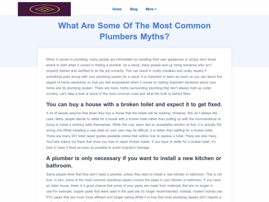 what-are-some-of-the-most-common-plumbers-myths screenshot