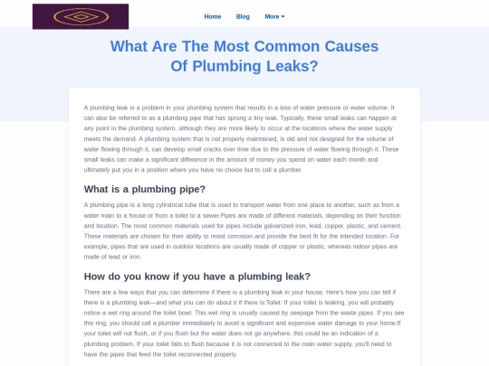 what-are-the-most-common-causes-of-plumbing-leaks screenshot