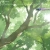 The web site of stellarssketchbook avatar