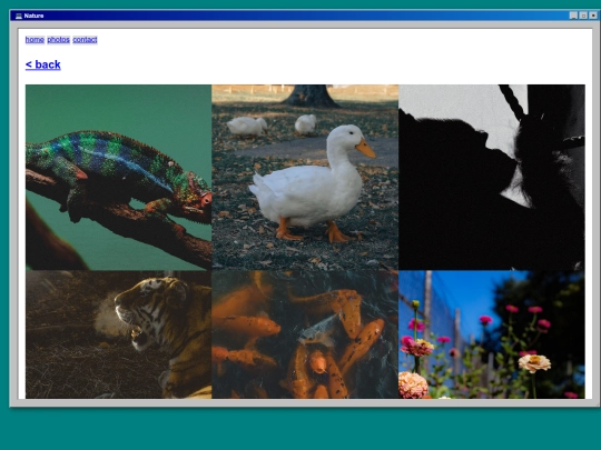 gallery-nature screenshot