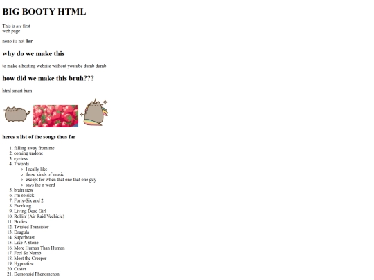 FirstNewWebsite screenshot