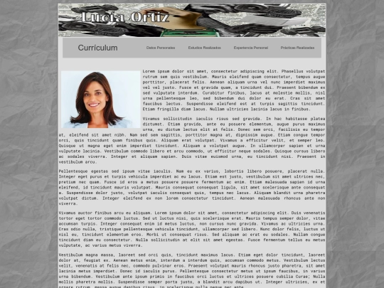 currículum screenshot