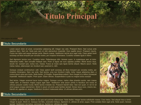 ejercicio4b screenshot
