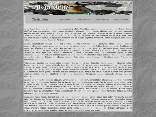 experiencia laboral screenshot