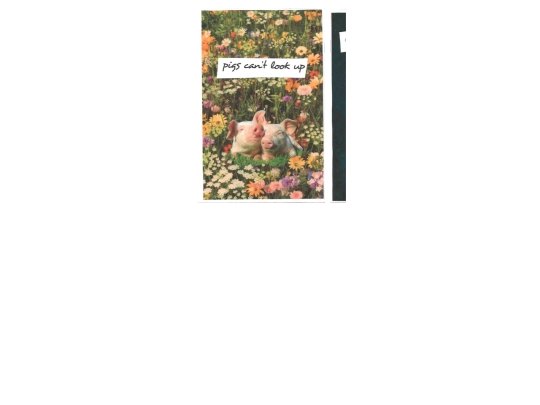 zines/pigscantlookup screenshot