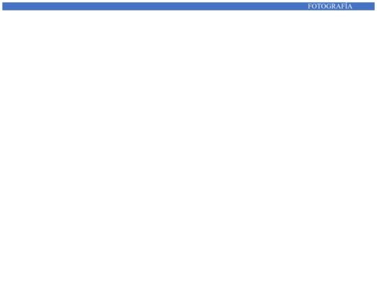 p12/titulo screenshot