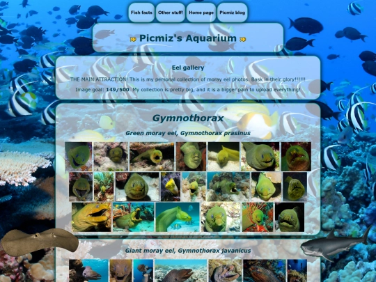 eels screenshot