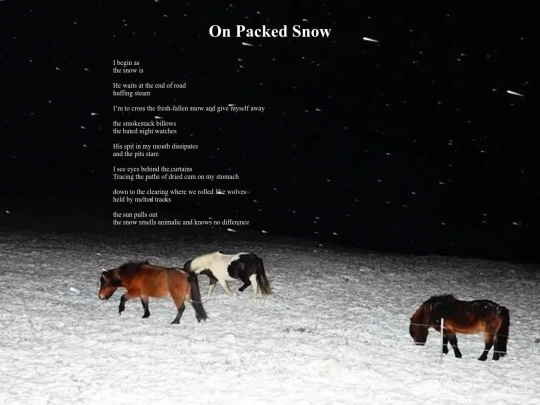 OnPackedSnow screenshot