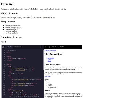 Exercise 1 screenshot