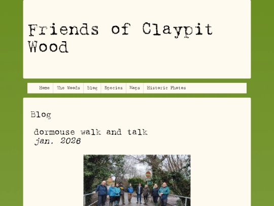 Blog screenshot
