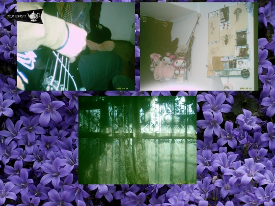 galeria screenshot
