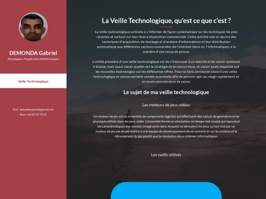 veille screenshot