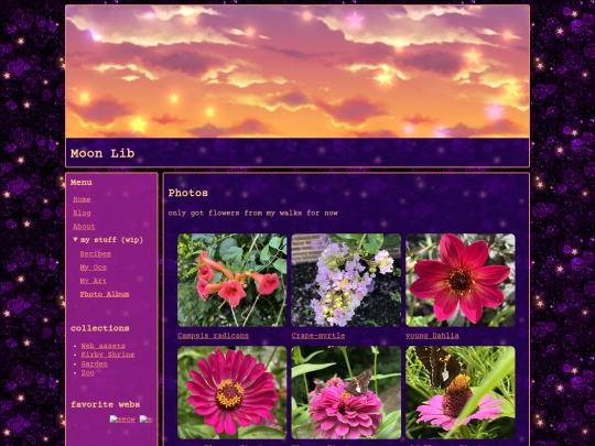 photo screenshot