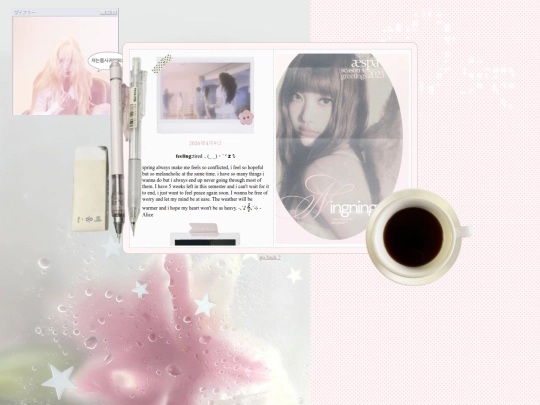 diary screenshot
