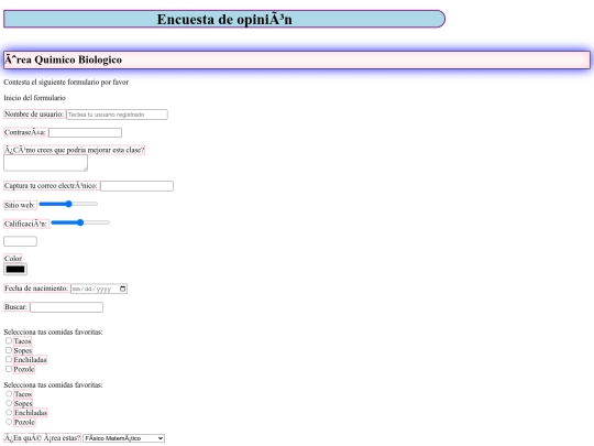 Zozor/Formulario/FormularioMely screenshot