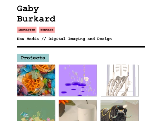 burkahrd screenshot