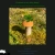 greenteamoon.neocities.org avatar