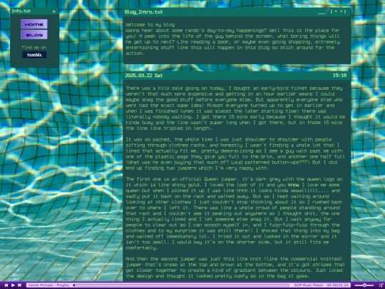 blog screenshot