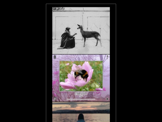 images screenshot