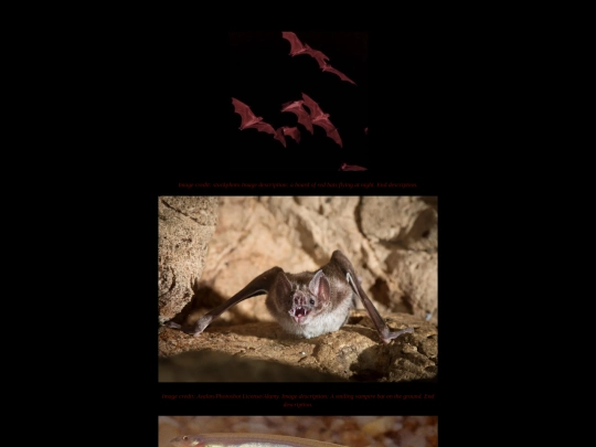 animalvamps screenshot