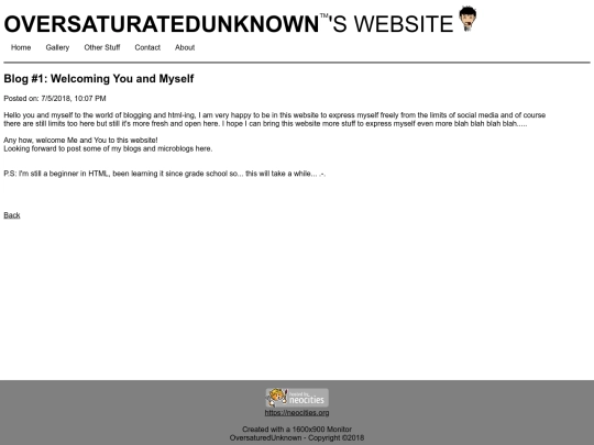 blog1 screenshot