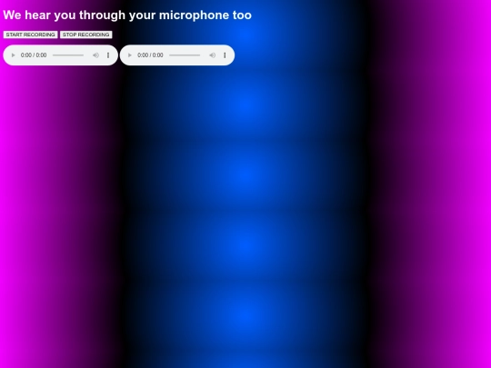 record screenshot