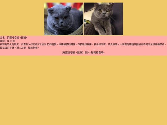 cat/cat-06 screenshot