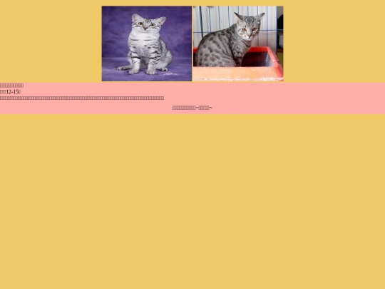 cat/cat-09 screenshot