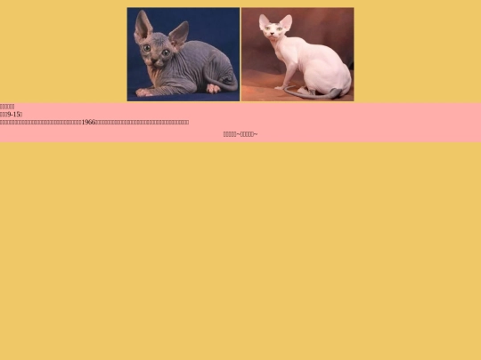 cat/cat-11 screenshot