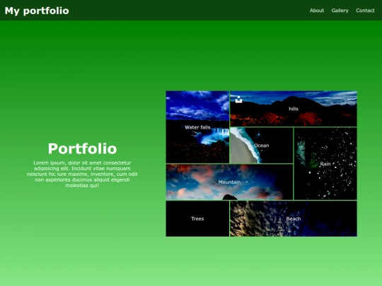 port/project1 screenshot