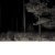 oszvarju.neocities.org avatar