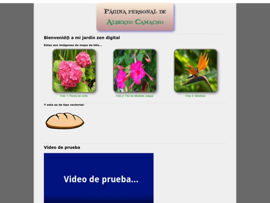 homepage screenshot