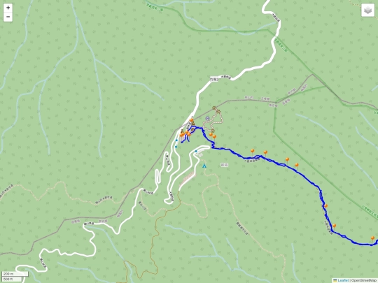 back_to_hsinchu/20240622_大鹿林道東線8k screenshot