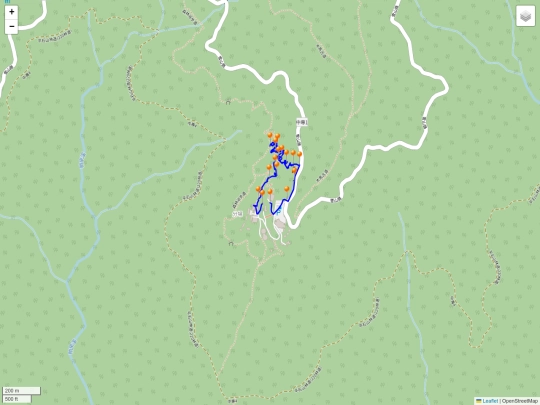 back_to_hsinchu/20241112_大雪山森林浴步道補遺 screenshot