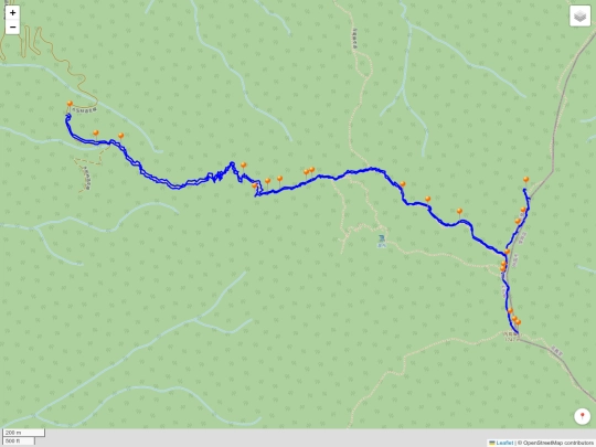 back_to_hsinchu/2025-12-14_光禿禿的內鳥嘴山毛櫸_wadi_locker_zf4 screenshot