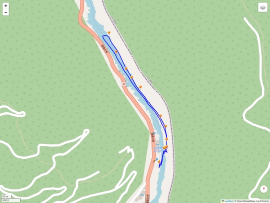 back_to_hsinchu/shikoku/2025-10-27_大步危搭船_wadi_locker_zf4 screenshot