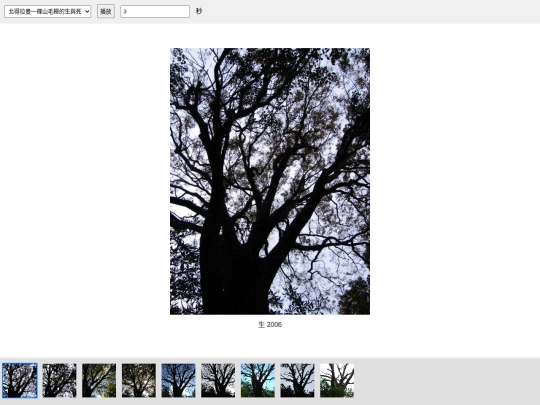 photo_galleries/beidelaman_beech_tree_life_and_death screenshot
