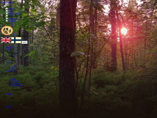 en/home screenshot